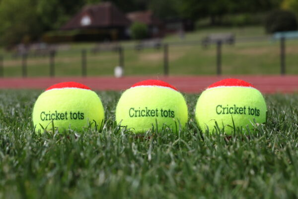 cricket balls for children