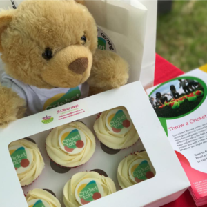 cricket tots parties cakes